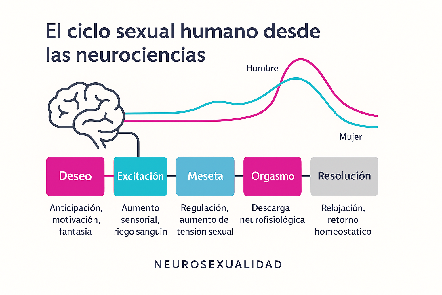 ChatGPT Image 9 dic 2025, 09_55_08 p.m. ChatGPT Image 9 dic 2025, 09_55_08 p.m.