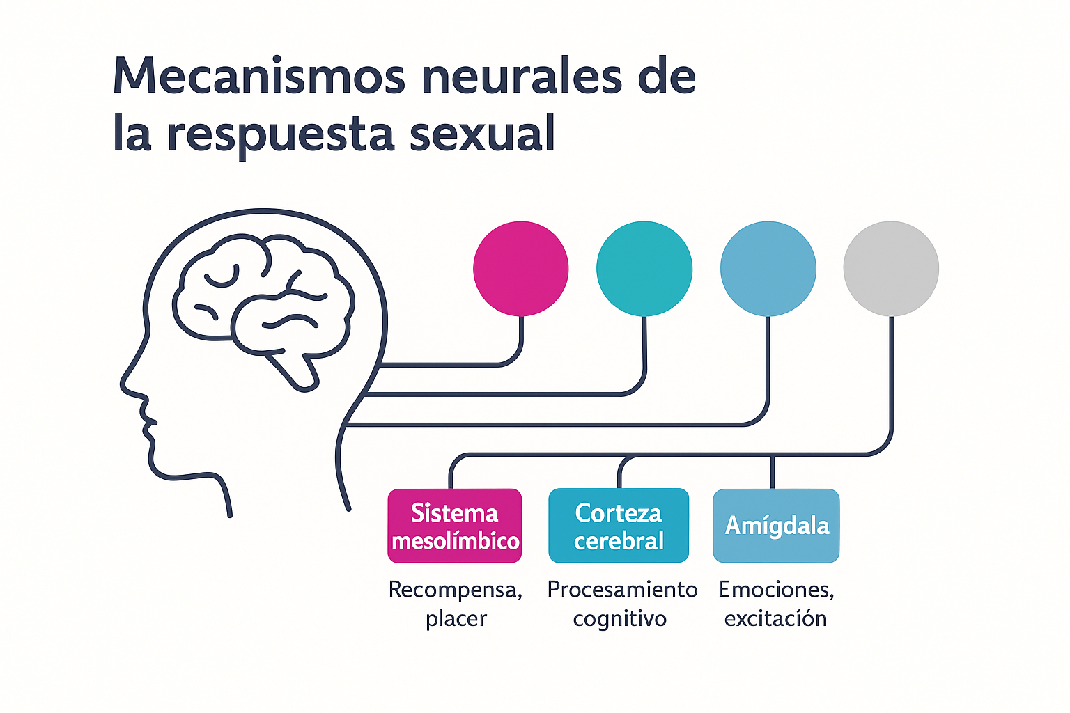 ChatGPT Image 9 dic 2025, 10_10_55 p.m. ChatGPT Image 9 dic 2025, 10_10_55 p.m.